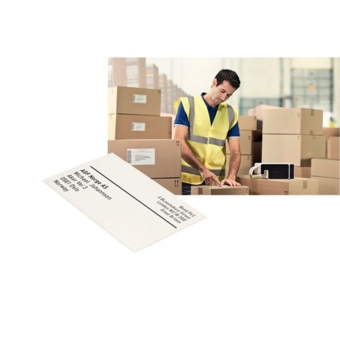 Taśma do drukarki etykiet Icon 102 102x59 [mm x m] biały Leitz (70130001) Leitz