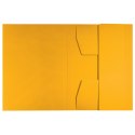 Teczka kartonowa recycle A4 żółta 430g Leitz (39060015) Leitz