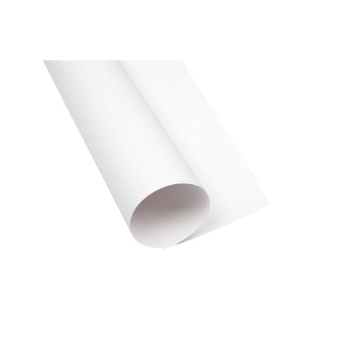 Brystol biały B1 biały 225g 25k Creatinio (400150251) Creatinio