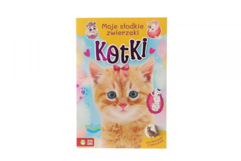 Książeczka edukacyjna Moje slodkie zwierzaki. Kotki Zielona Sowa Zielona Sowa