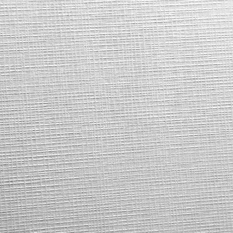 Papier ozdobny (wizytówkowy) A4 biały 246g Protos Protos