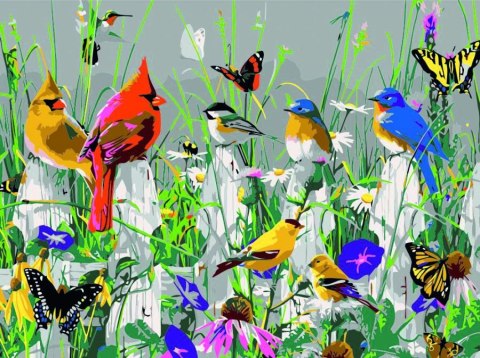 Zestaw kreatywny Malowanie po numerach 30x40cm Ptaszki Flamingo Line (FSY180) Flamingo Line