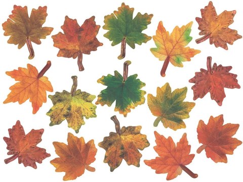 Ozdoba papierowa Craft-Fun Series liście papierowe Titanum (24XQ0501-10) Titanum