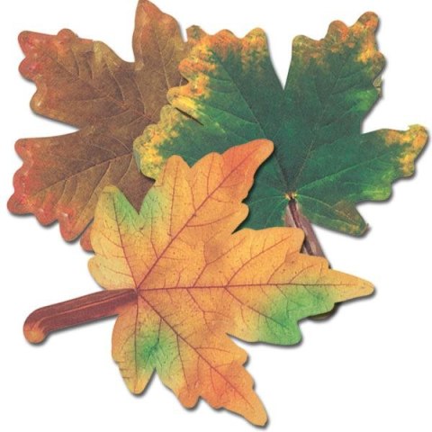 Ozdoba papierowa Craft-Fun Series liście papierowe Titanum (24XQ0501-10) Titanum