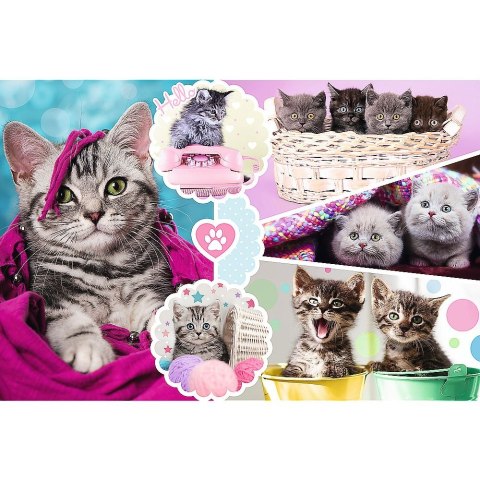 Puzzle 160 el. Trefl (15371) Trefl