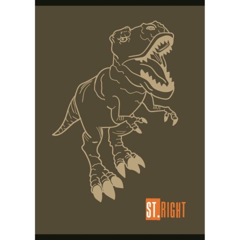 Zeszyt ST.RIGHT A5 32k. linia Unipap Unipap