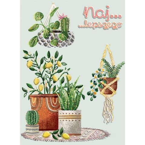 Kartka składana KARNET B6 KWIATY DONICZKOWE B6 Henry (5905701484157) Henry