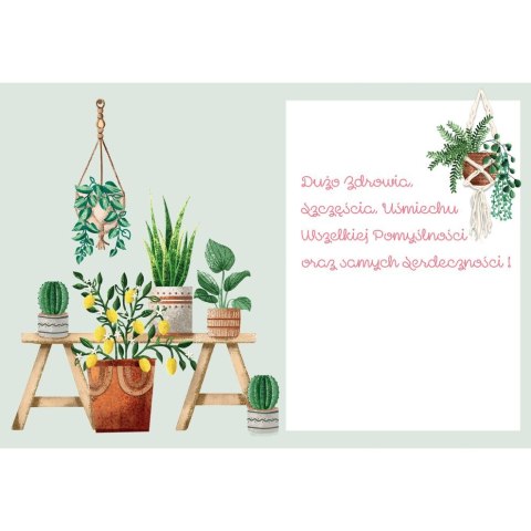 Kartka składana KARNET B6 KWIATY DONICZKOWE B6 Henry (5905701484157) Henry