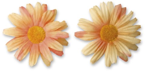 Ozdoba materiałowa Craft-Fun Series margerytki 4 szt. Titanum (D-TZW-230605A) Titanum