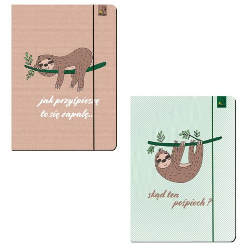 Teczka kartonowa na gumkę A4 mix Ev-corp (TA4BFF3) Ev-corp