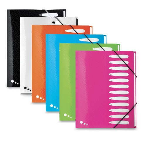 Teczka z przegródkami Art Pop A4 kolor: mix 12 przegródek Elba (400058483) Elba