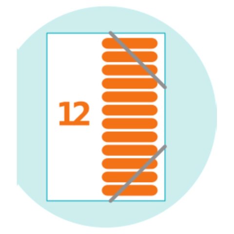 Teczka z przegródkami Art Pop A4 kolor: mix 12 przegródek Elba (400058483) Elba