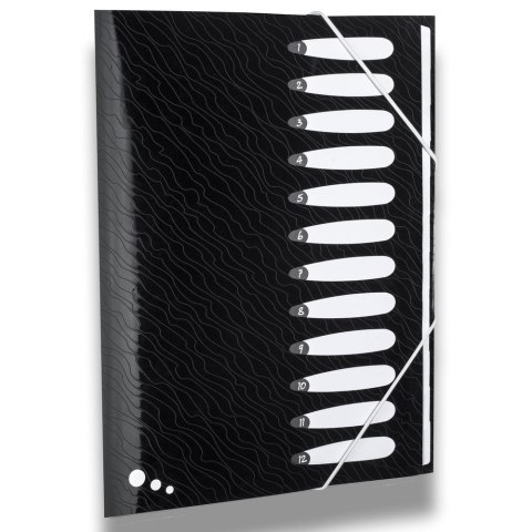 Teczka z przegródkami Art Pop A4 kolor: mix 12 przegródek Elba (400058483) Elba