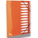 Teczka z przegródkami Art Pop A4 kolor: mix 12 przegródek Elba (400058483) Elba