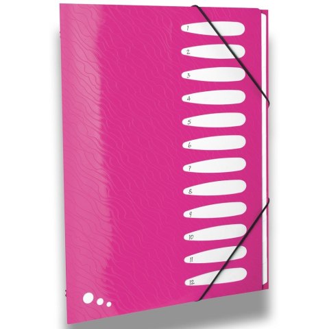 Teczka z przegródkami Art Pop A4 kolor: mix 12 przegródek Elba (400058483) Elba