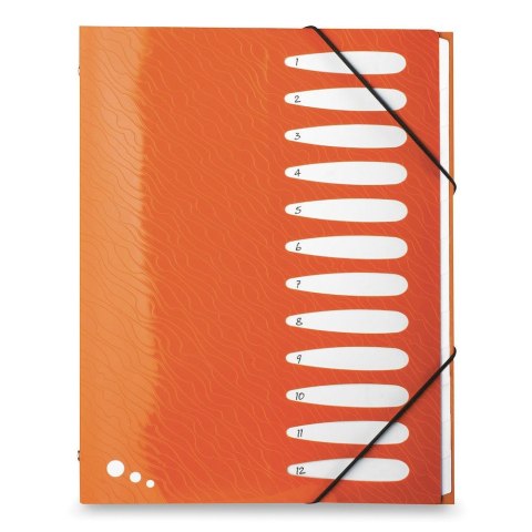 Teczka z przegródkami Art Pop A4 kolor: mix 12 przegródek Elba (400058483) Elba