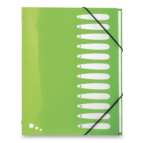 Teczka z przegródkami Art Pop A4 kolor: mix 12 przegródek Elba (400058483) Elba