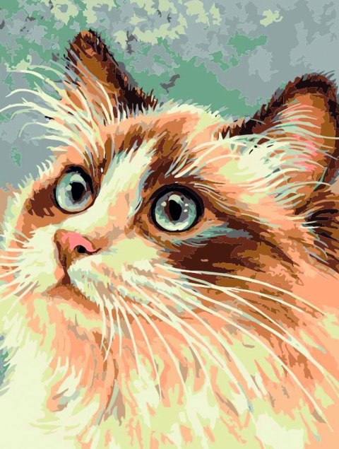 Zestaw kreatywny Malowanie po numerach 30x40cm Kot 1 Flamingo Line (FC222) Flamingo Line