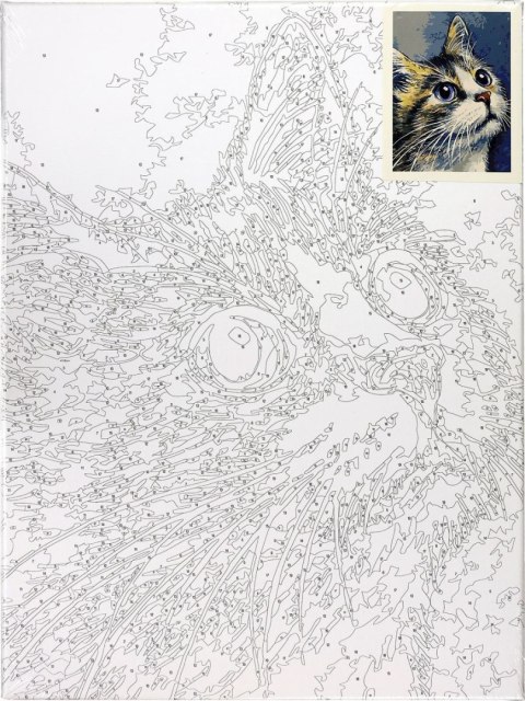 Zestaw kreatywny Malowanie po numerach 30x40cm Kot 1 Flamingo Line (FC222) Flamingo Line