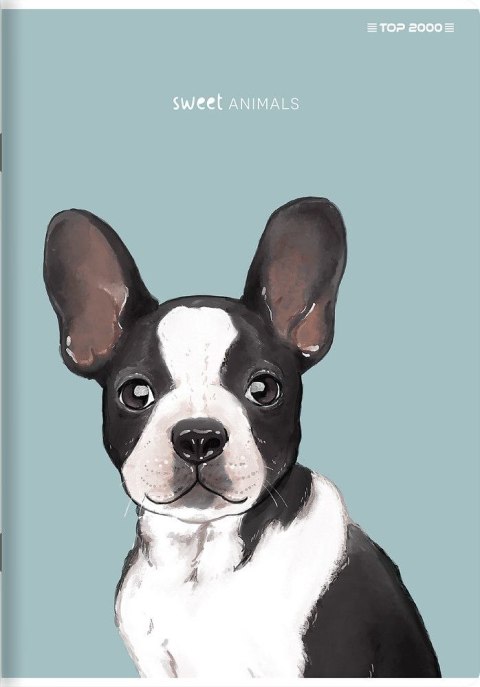 Zeszyt SWEET ANIMAL A4 60k. 70g krata Top 2000 (400169501) Top 2000