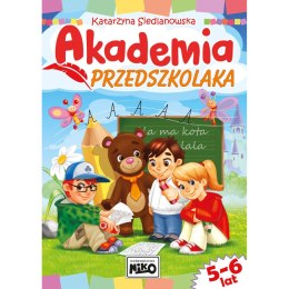 Książeczka edukacyjna Niko Akademia przedszkolaka Niko