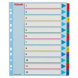 Przekładka numeryczna Esselte MYLAR A4 mix kolorów 160g 12k 1-12 (100209) Esselte