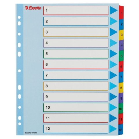 Przekładka numeryczna Esselte MYLAR A4 mix kolorów 160g 12k 1-12 (100209) Esselte