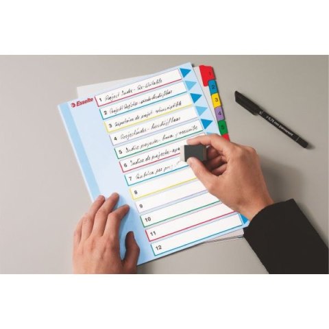 Przekładka numeryczna MYLAR A4 mix kolorów 160g 12k 1-12 Esselte (100209) Esselte