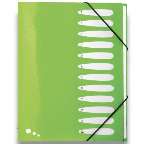 Teczka z przegródkami Art Pop A4 kolor: mix 12 przegródek Elba (400058483) Elba