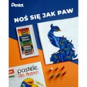 Zestaw piśmienniczy Pentel Pentel