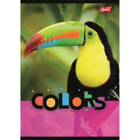 Zeszyt EXOTIC COLORS A5 32k. krata Unipap Unipap
