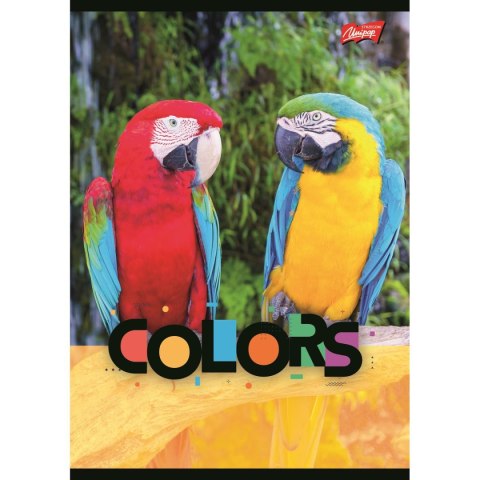Zeszyt EXOTIC COLORS A5 32k. krata Unipap Unipap