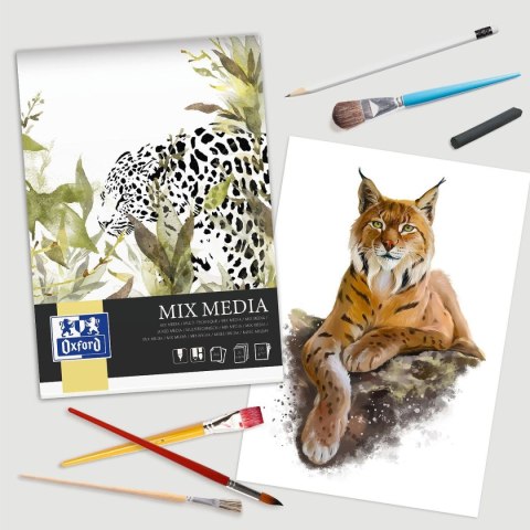 Blok artystyczny DO MIXMEDIA A3 225g 25k Oxford (400166124) Oxford
