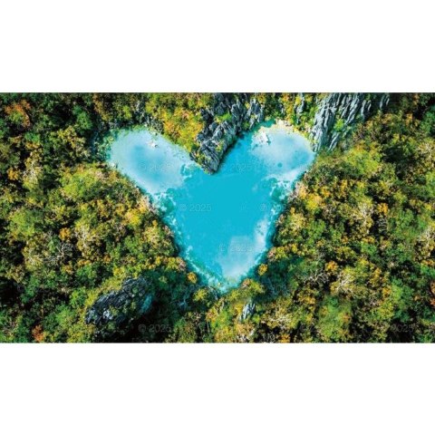 Kalendarz ścienny NOTATNIKOWY KOMPOZYCJE KWIATOWE 220mm x 490mm Lucrum (WN02) Lucrum