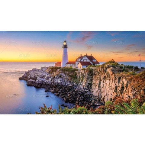 Kalendarz ścienny NOTATNIKOWY KOMPOZYCJE KWIATOWE 220mm x 490mm Lucrum (WN02) Lucrum