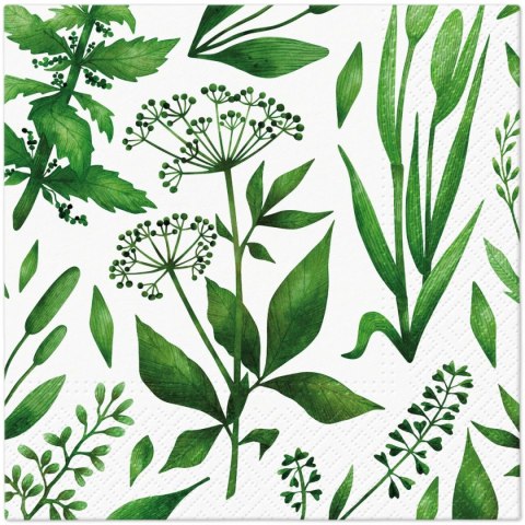 Serwetki TaT Green cocktail mix bibuła [mm:] 330x330 Paw (TL124200) Paw