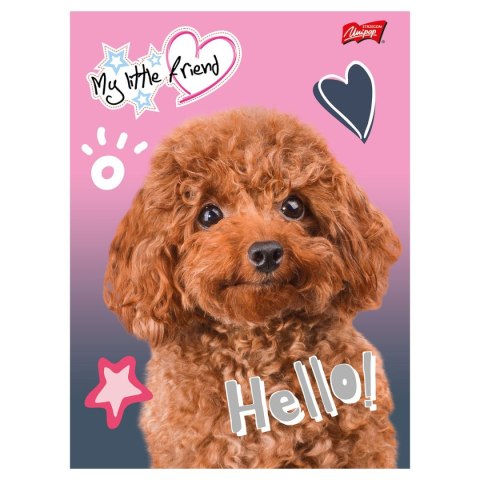 Zeszyt MY LITTLE FRIEND A5 16k. podwójna linia kolor Unipap Unipap