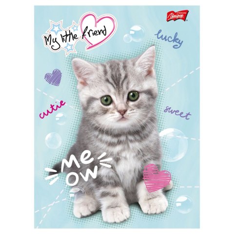 Zeszyt MY LITTLE FRIEND A5 16k. podwójna linia kolor Unipap Unipap