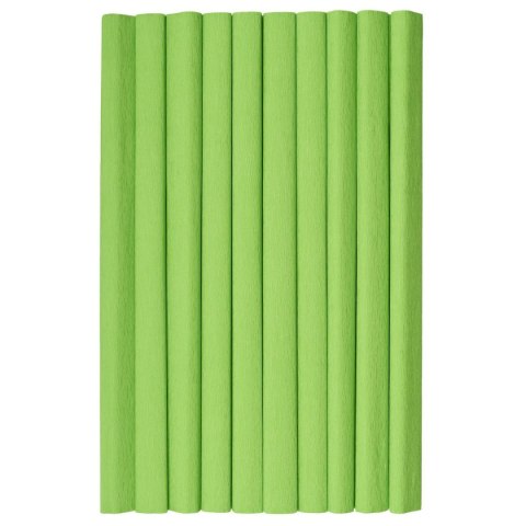 Bibuła marszczona jasnozielony 20mm x 500mm TOP-2000 (400153920) TOP-2000