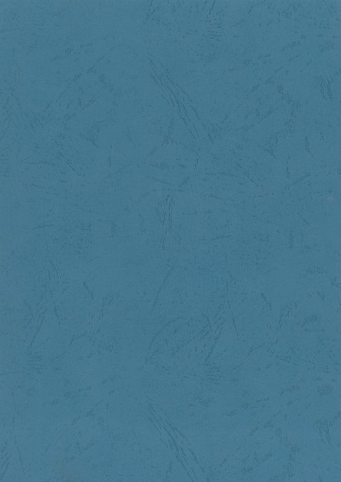 Karton do bindowania skóropodobny A4 niebieski 250g Titanum Titanum