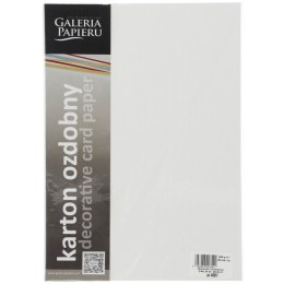 Papier ozdobny (wizytówkowy) pacific biały A4 biały 200g Galeria Papieru (204001) Galeria Papieru