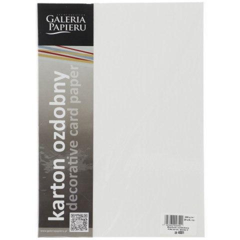 Papier ozdobny (wizytówkowy) A4 pacific biały biały 200g Galeria Papieru (204001) Galeria Papieru