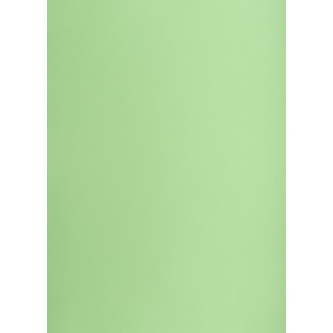 Brystol groszkowy B1 groszkowy 225g 1k Creatinio (400150266) Creatinio