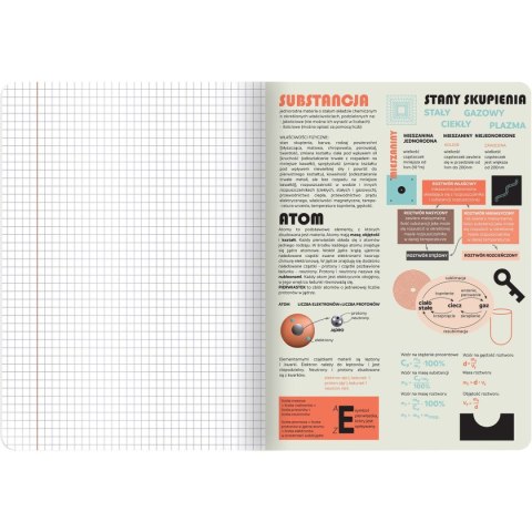 Zeszyt chemia A5 60k. 70g krata TOP-2000 (400169459) TOP-2000