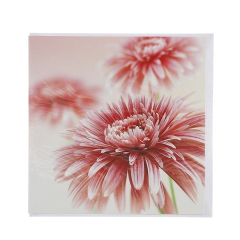 Kartka składana [mm:] 155x155 Art Nuvo Art Nuvo