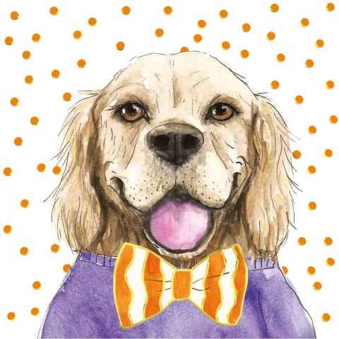 Kartka składana C5 KARNET KW HS PIES POMARANCZ Henry (5907465668651) Henry