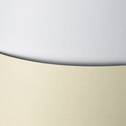 Papier ozdobny (wizytówkowy) floryda A4 kremowy 220g Galeria Papieru (200302) Galeria Papieru