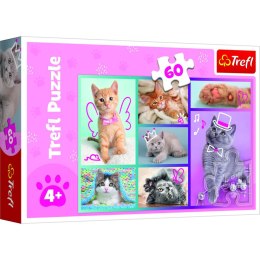 Puzzle Trefl Disney Słodkie kociaki 60 el. (17373) Trefl