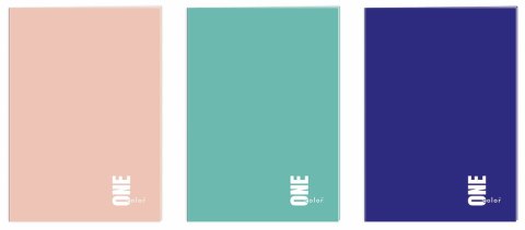 Zeszyt A4 80k. krata Interdruk (ZEA480#ONE) Interdruk