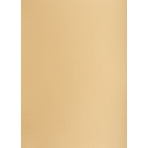 Brystol A1 jasnobrązowy 160g 25k [mm:] 610x860 TOP-2000 (400149527) TOP-2000